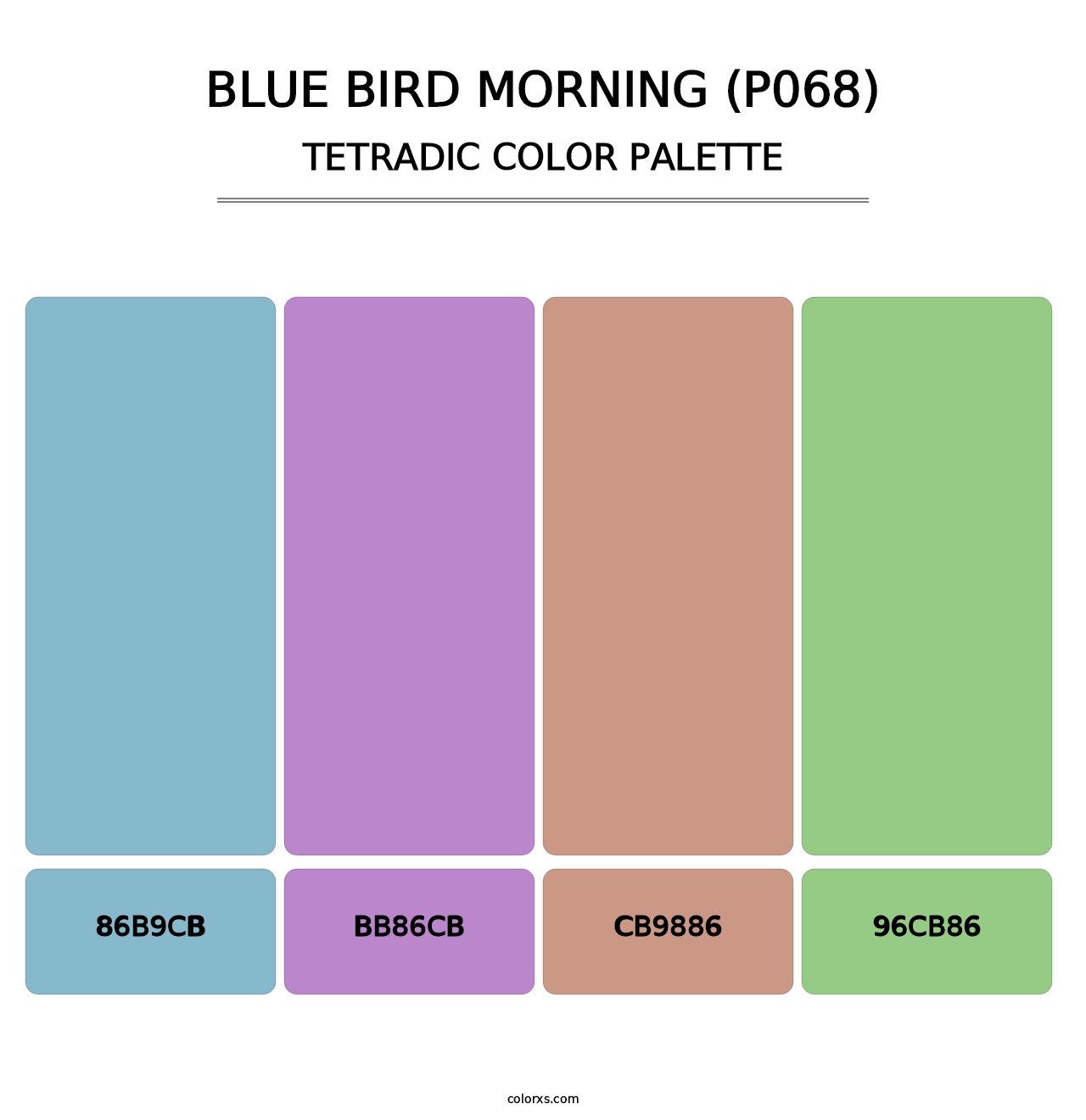 Blue Bird Morning (P068) - Tetradic Color Palette