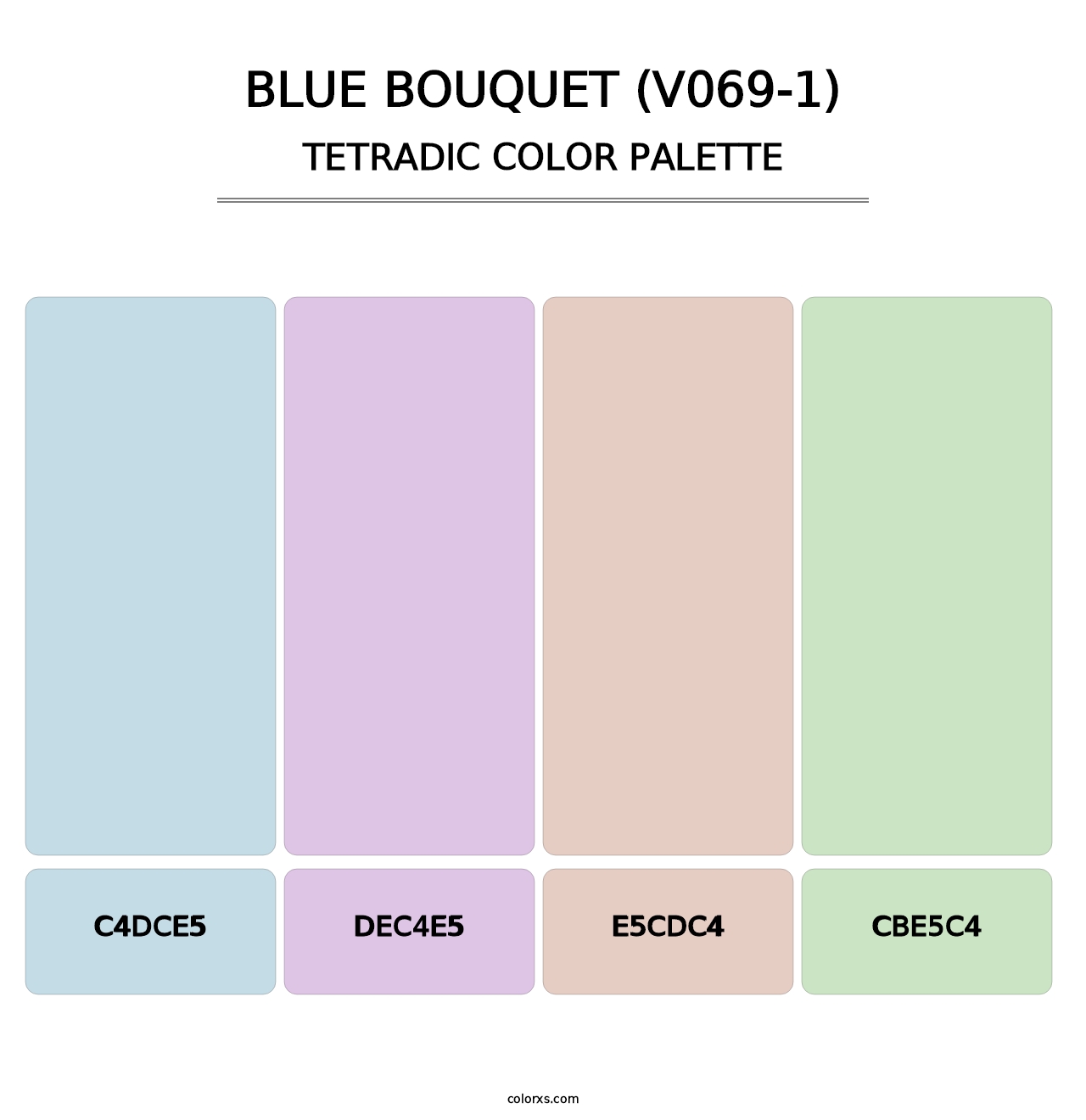Blue Bouquet (V069-1) - Tetradic Color Palette
