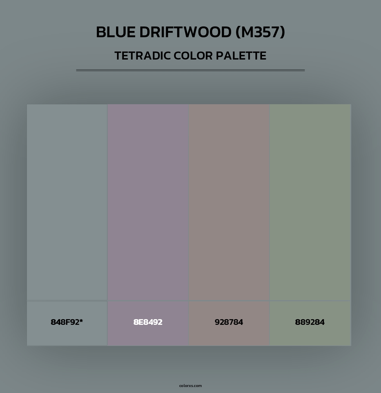 Blue Driftwood (M357) - Tetradic Color Palette