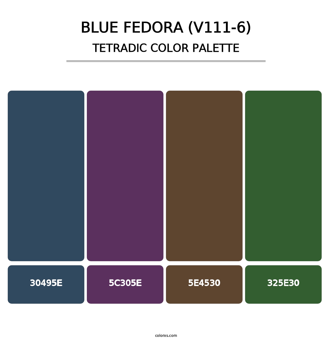 Blue Fedora (V111-6) - Tetradic Color Palette