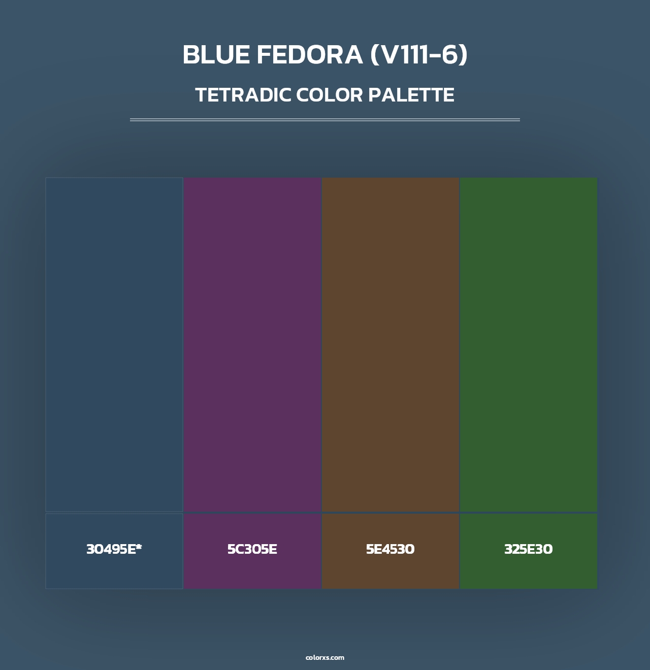 Blue Fedora (V111-6) - Tetradic Color Palette