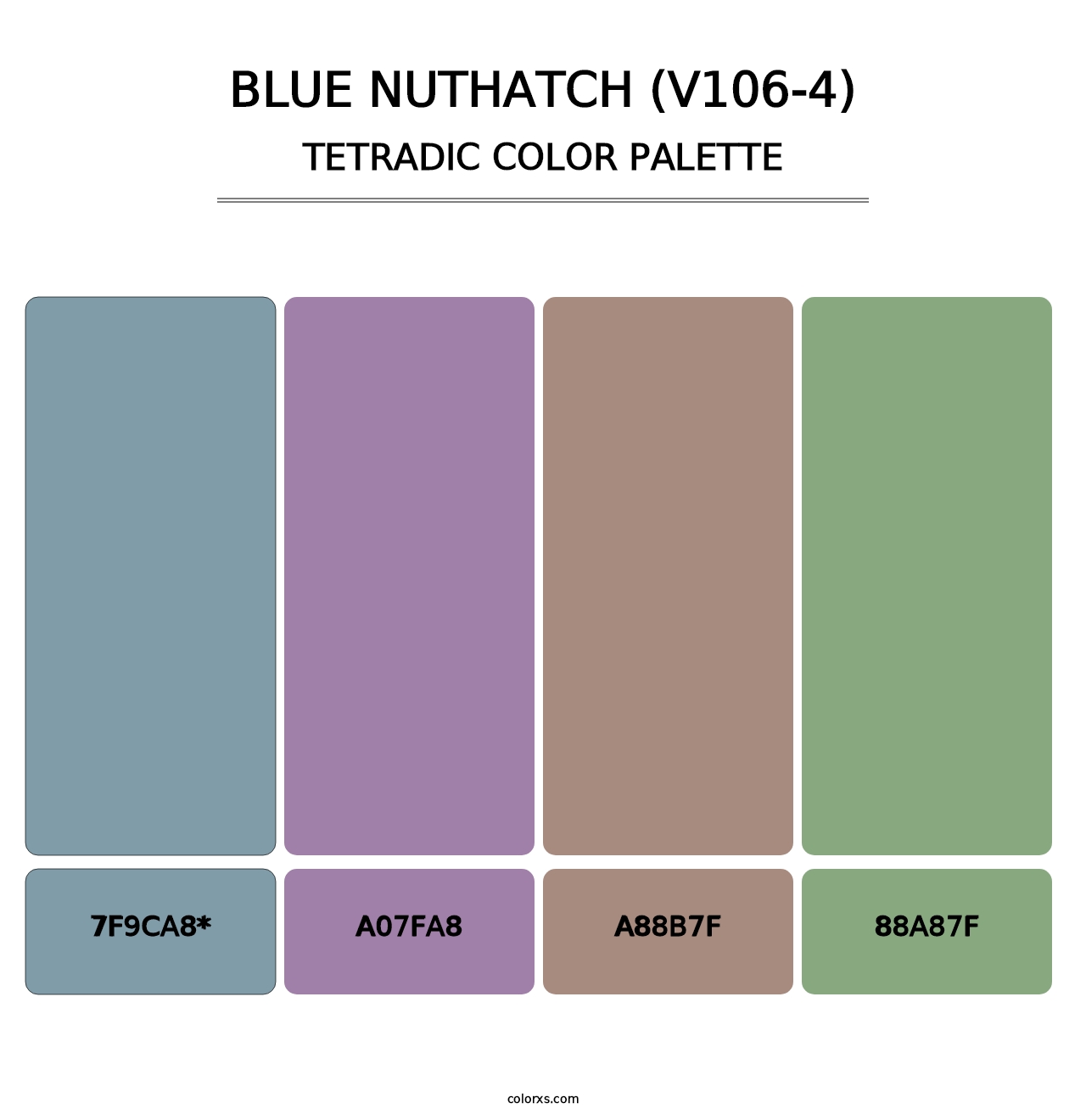 Blue Nuthatch (V106-4) - Tetradic Color Palette