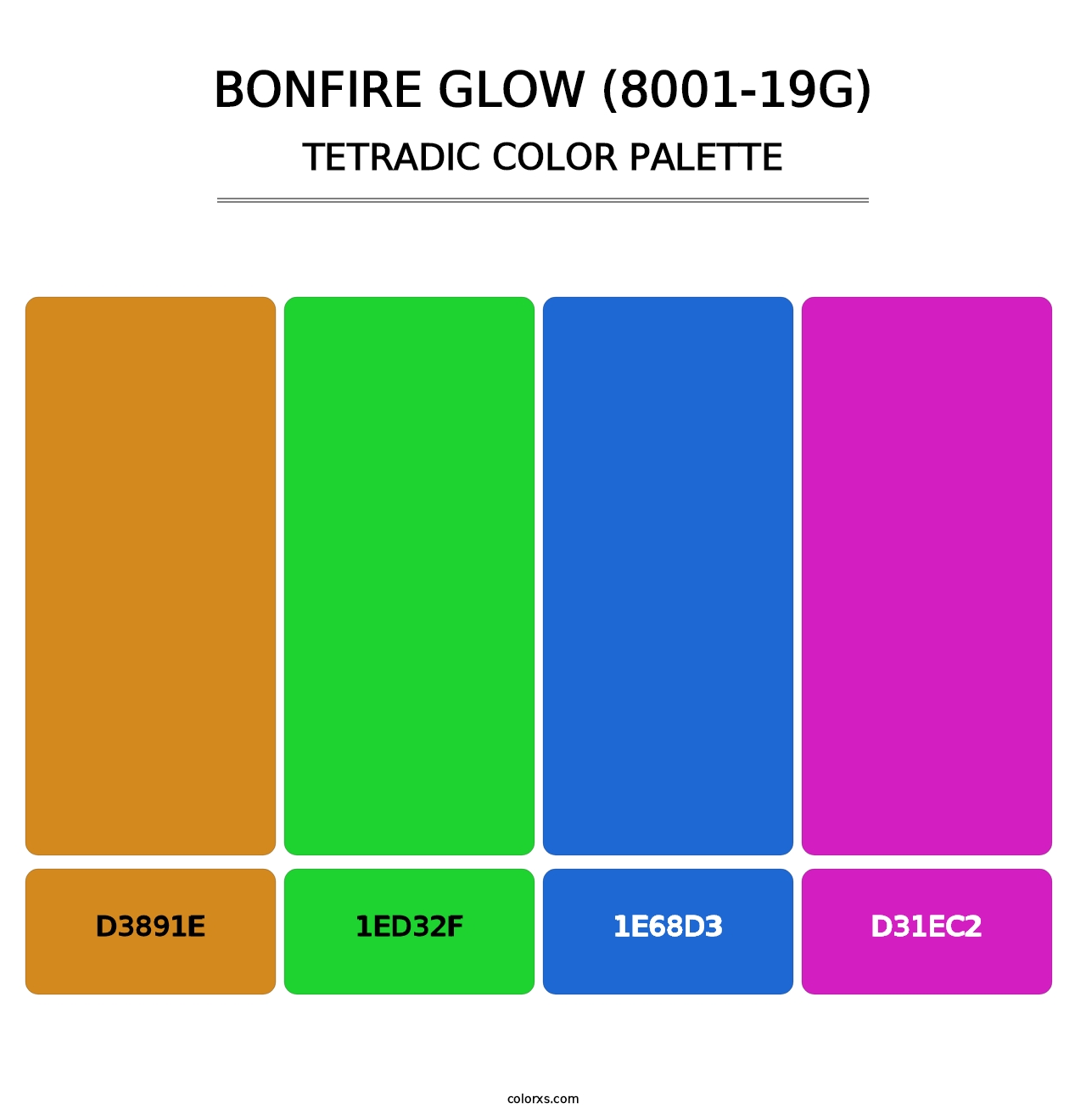 Bonfire Glow (8001-19G) - Tetradic Color Palette