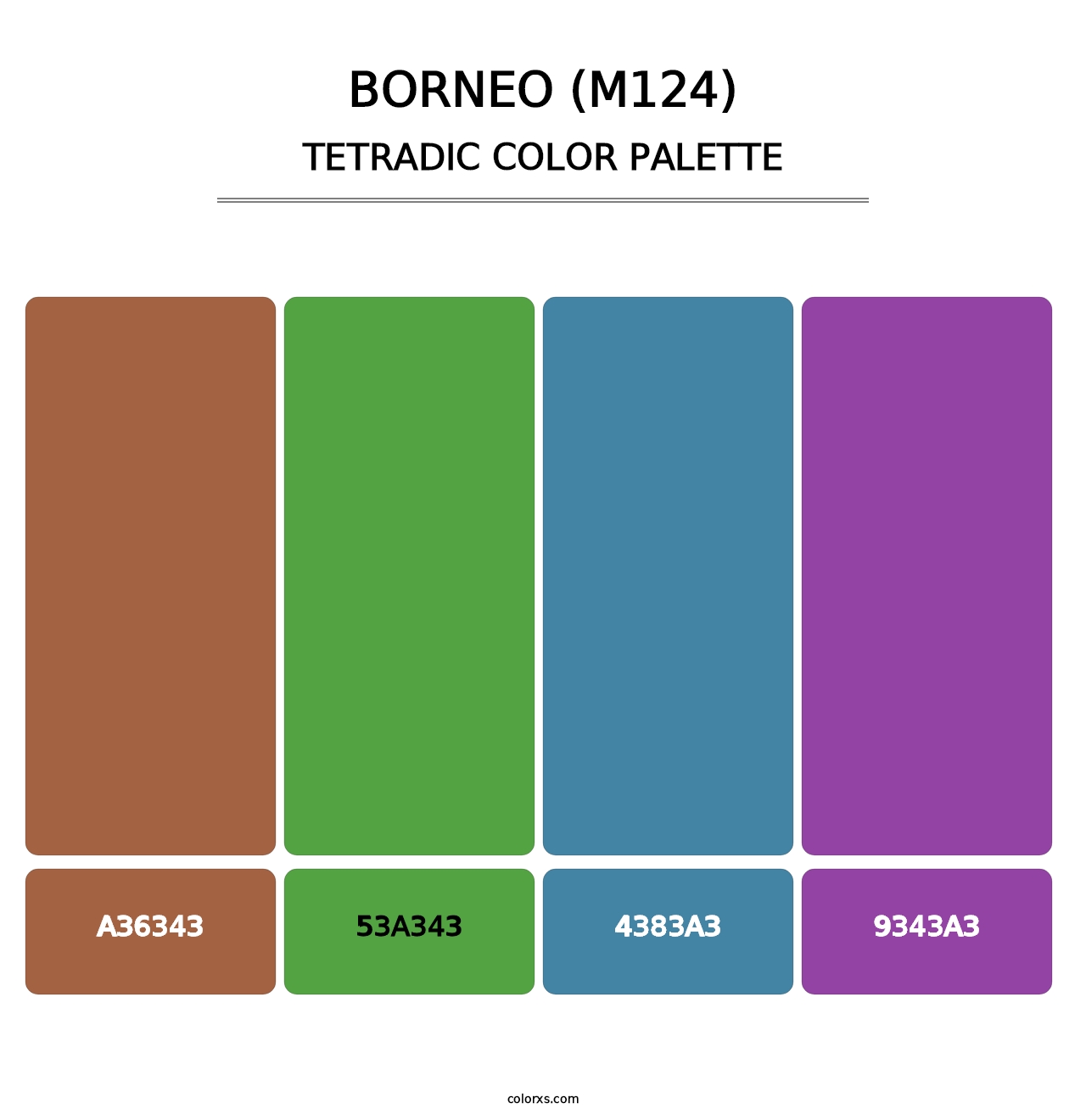 Borneo (M124) - Tetradic Color Palette