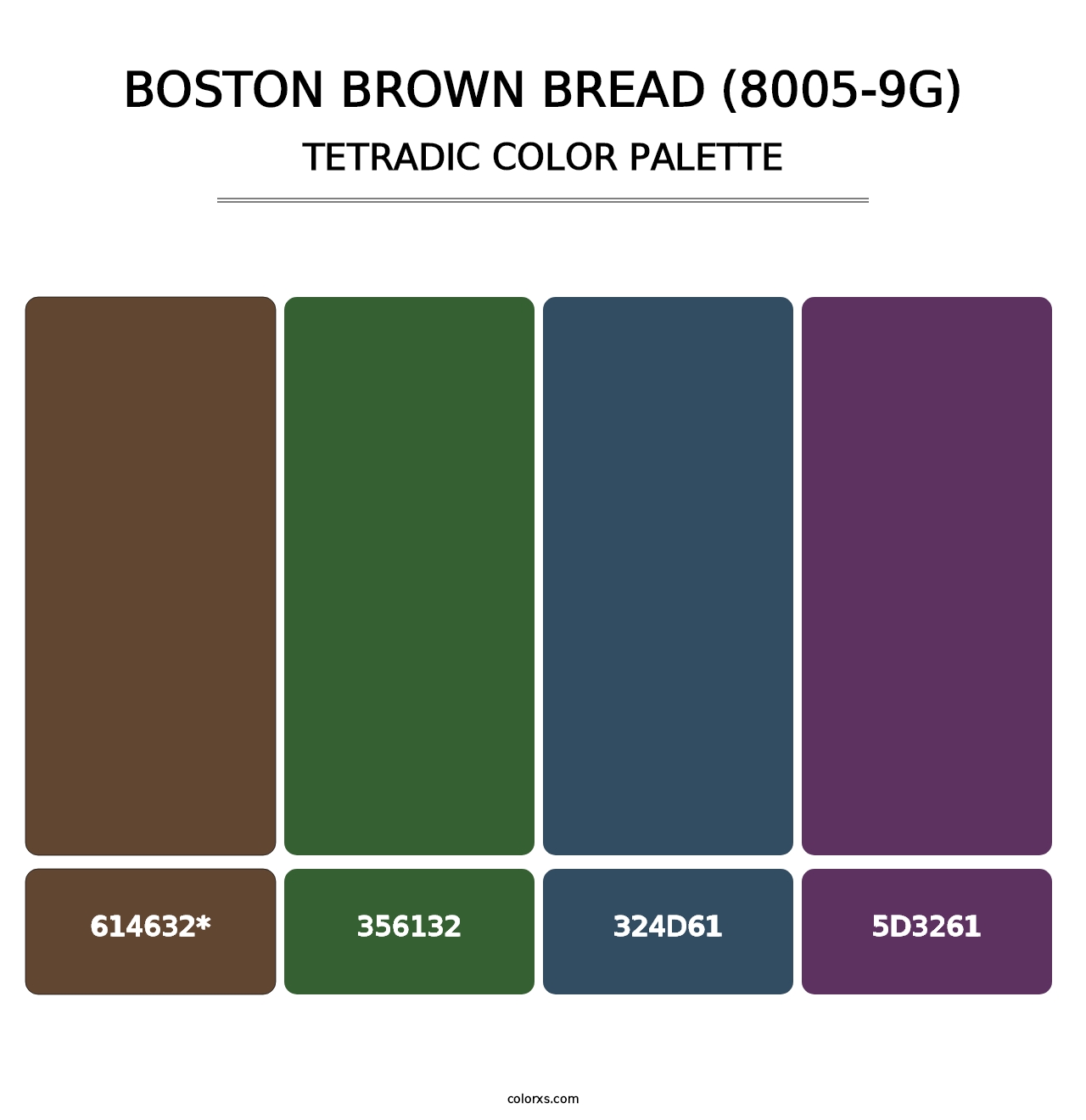 Boston Brown Bread (8005-9G) - Tetradic Color Palette