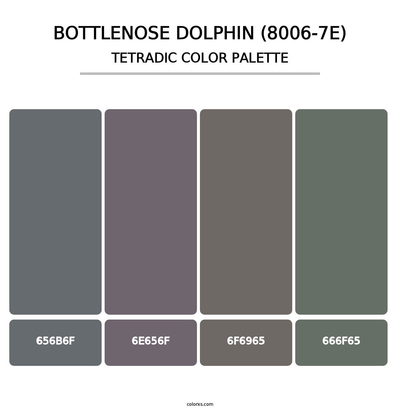 Bottlenose Dolphin (8006-7E) - Tetradic Color Palette