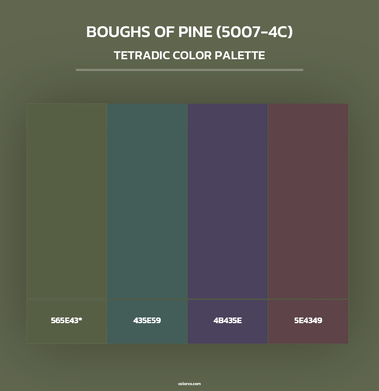 Boughs of Pine (5007-4C) - Tetradic Color Palette