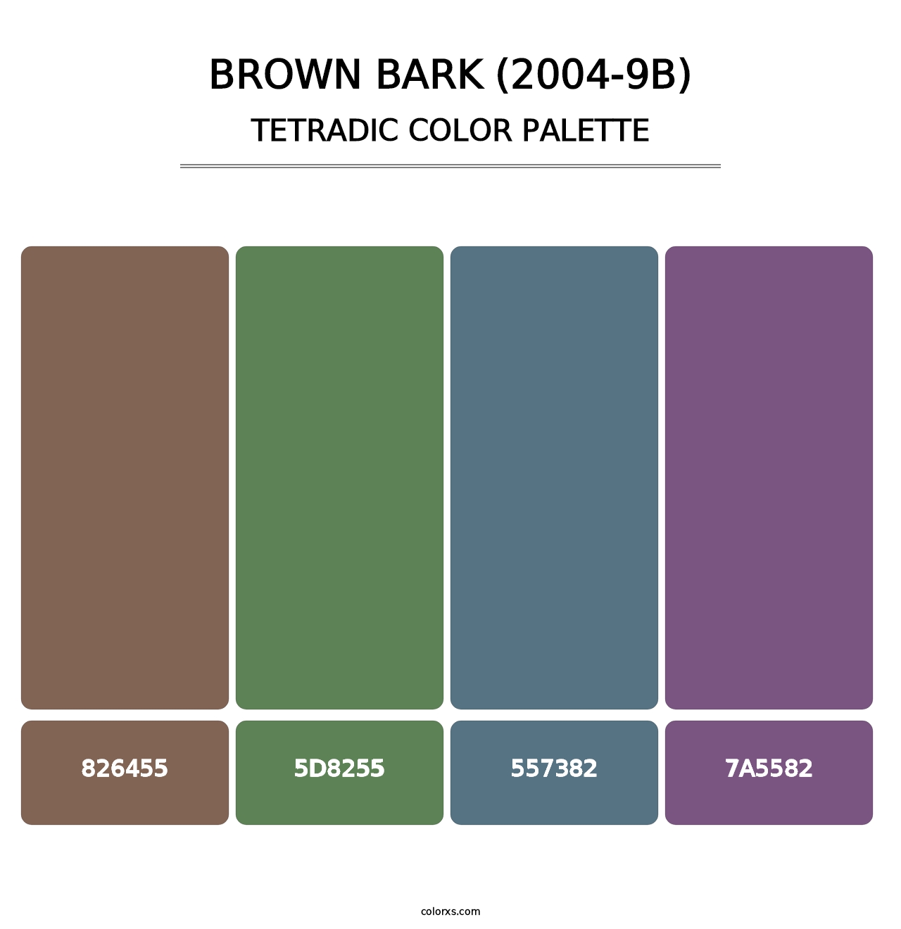 Brown Bark (2004-9B) - Tetradic Color Palette