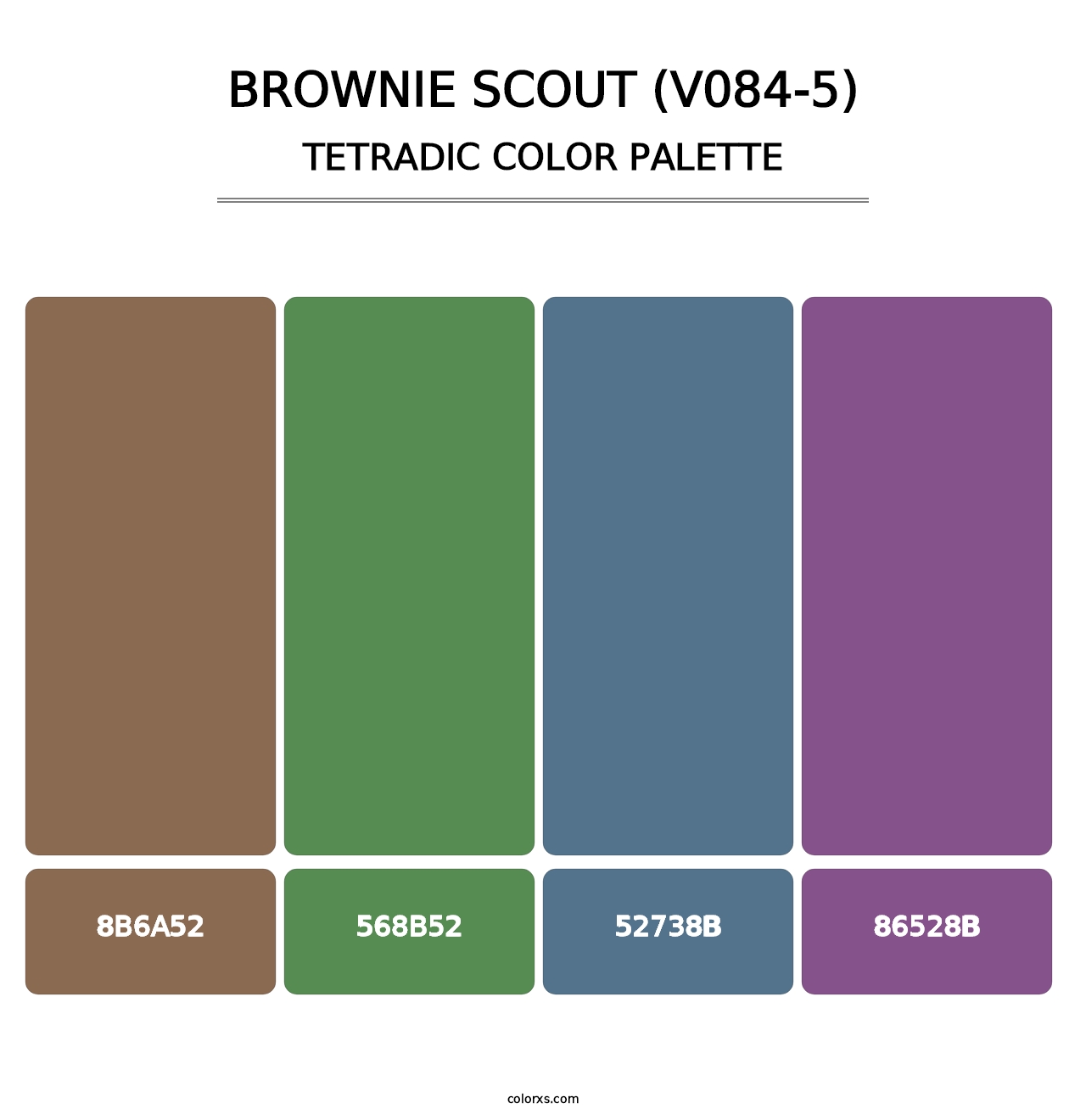 Brownie Scout (V084-5) - Tetradic Color Palette