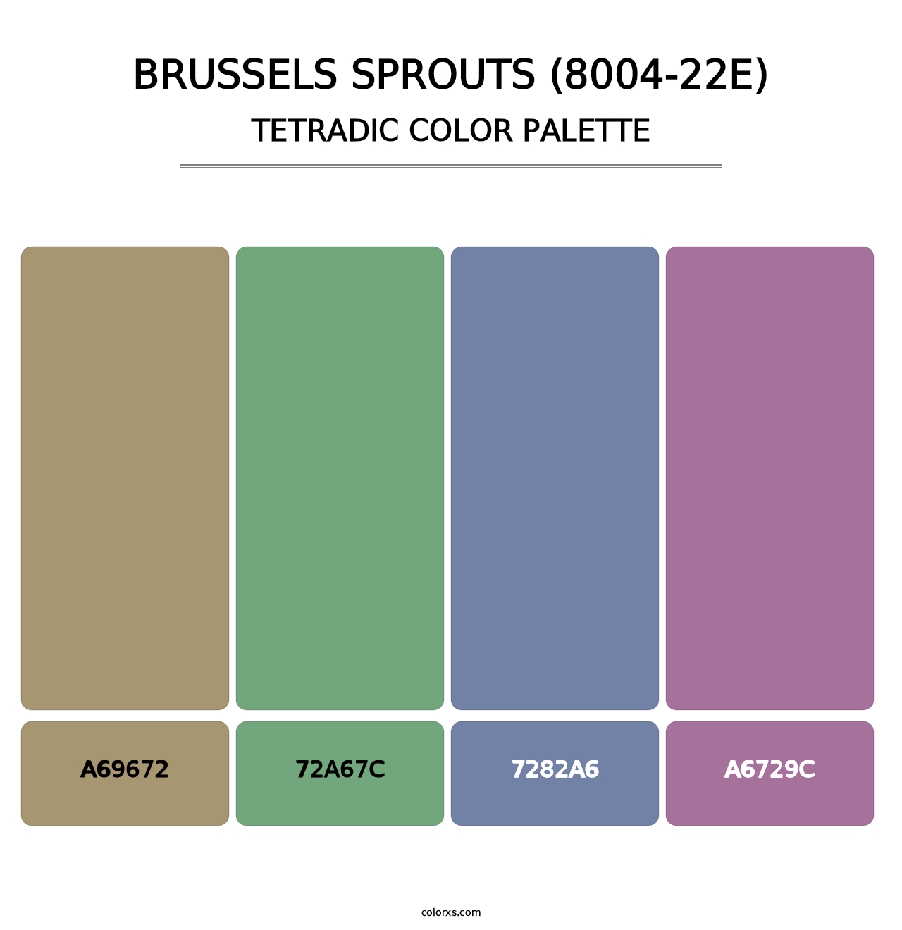 Brussels Sprouts (8004-22E) - Tetradic Color Palette