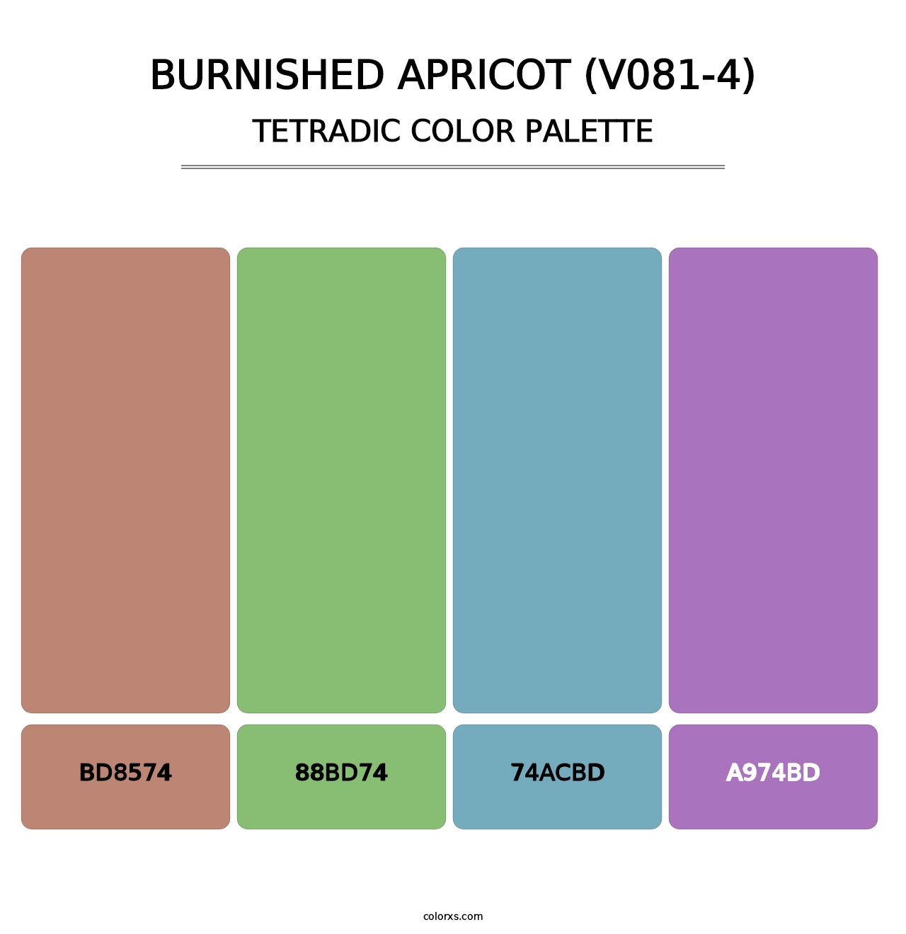 Burnished Apricot (V081-4) - Tetradic Color Palette