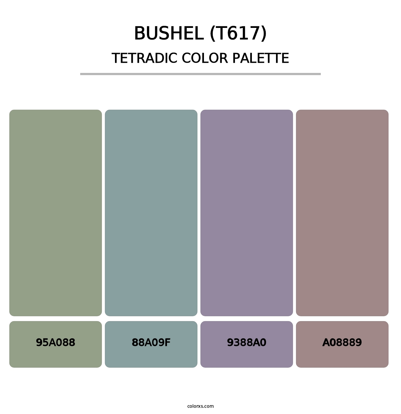 Bushel (T617) - Tetradic Color Palette