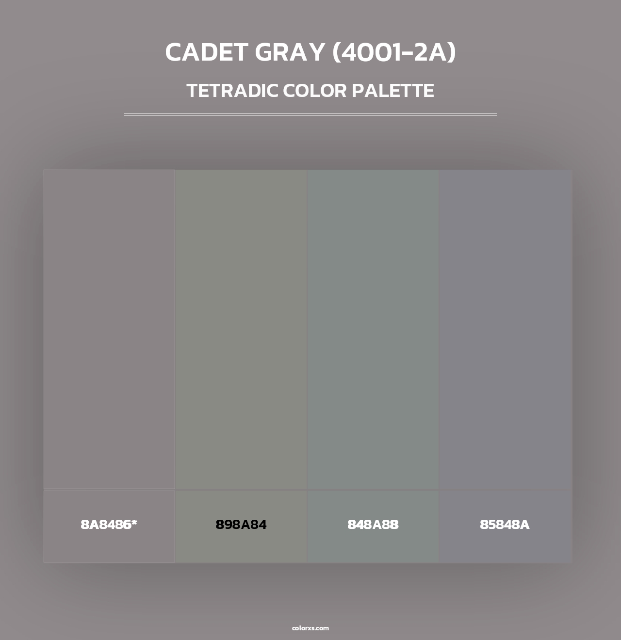 Cadet Gray (4001-2A) - Tetradic Color Palette