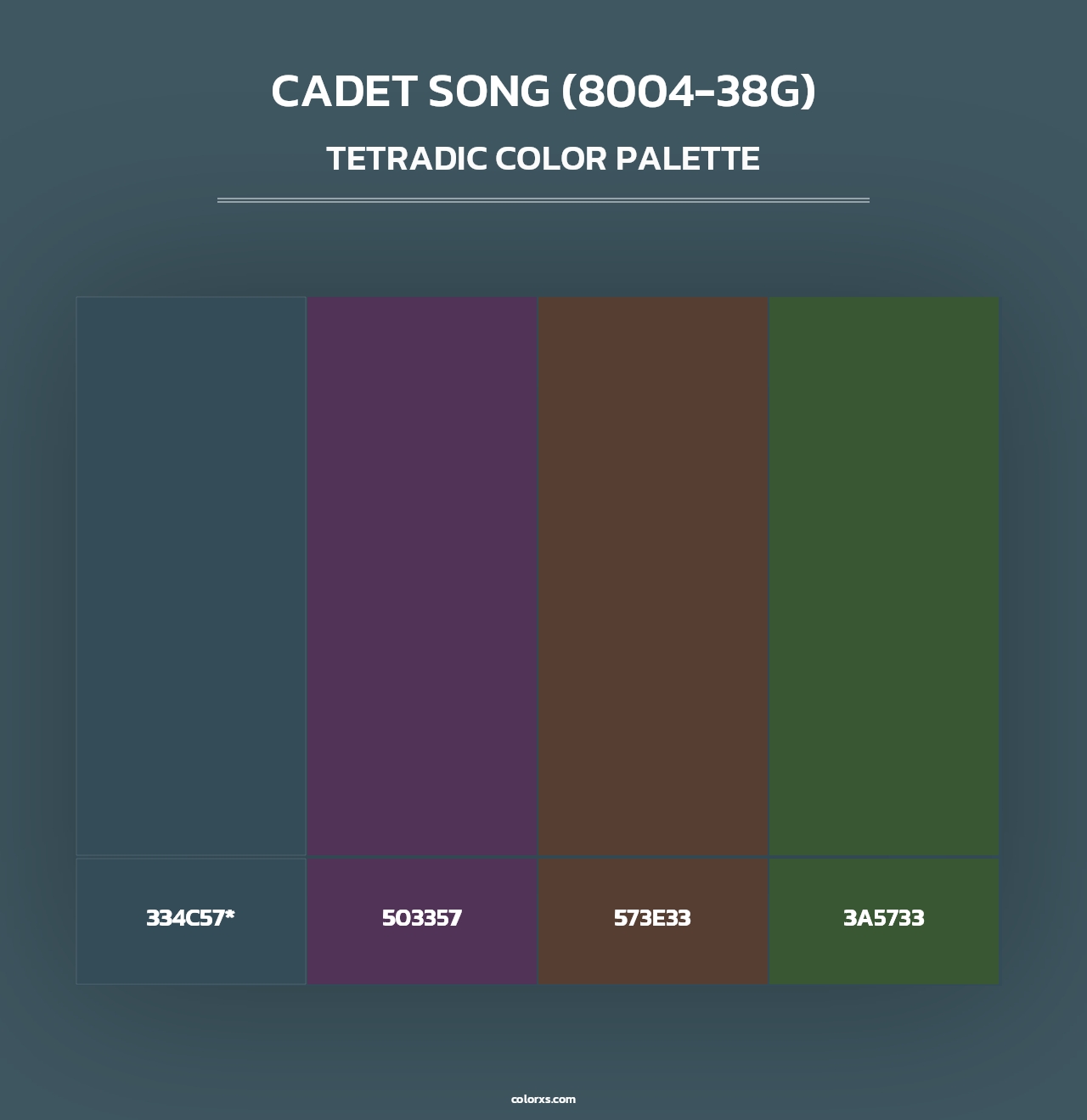 Cadet Song (8004-38G) - Tetradic Color Palette