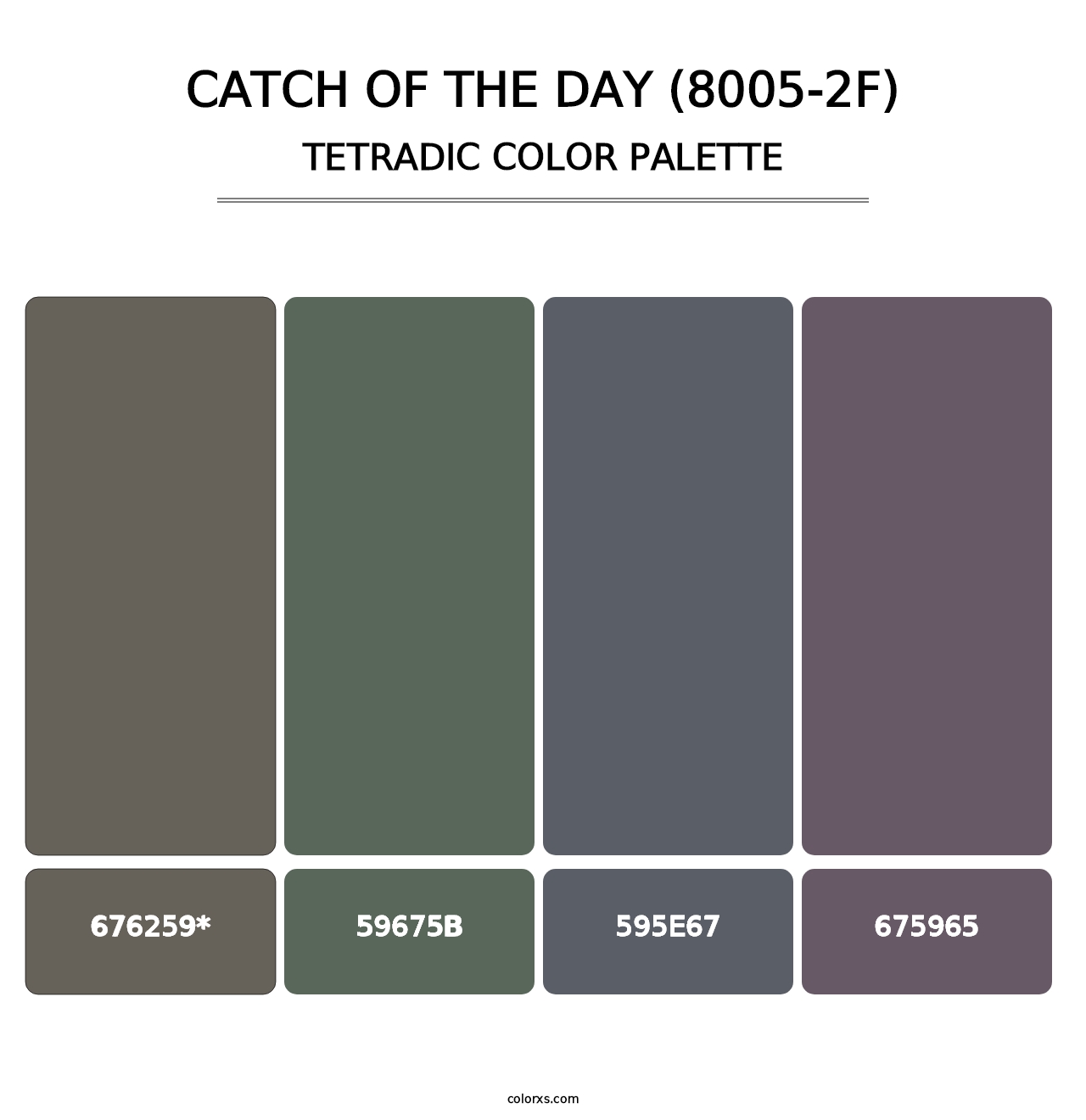Catch of the Day (8005-2F) - Tetradic Color Palette