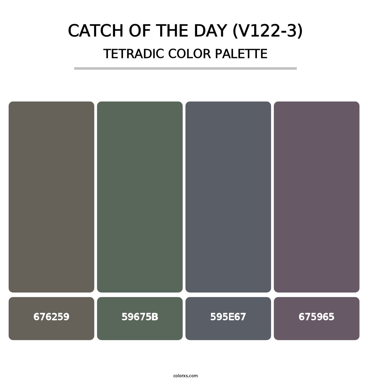 Catch of the Day (V122-3) - Tetradic Color Palette
