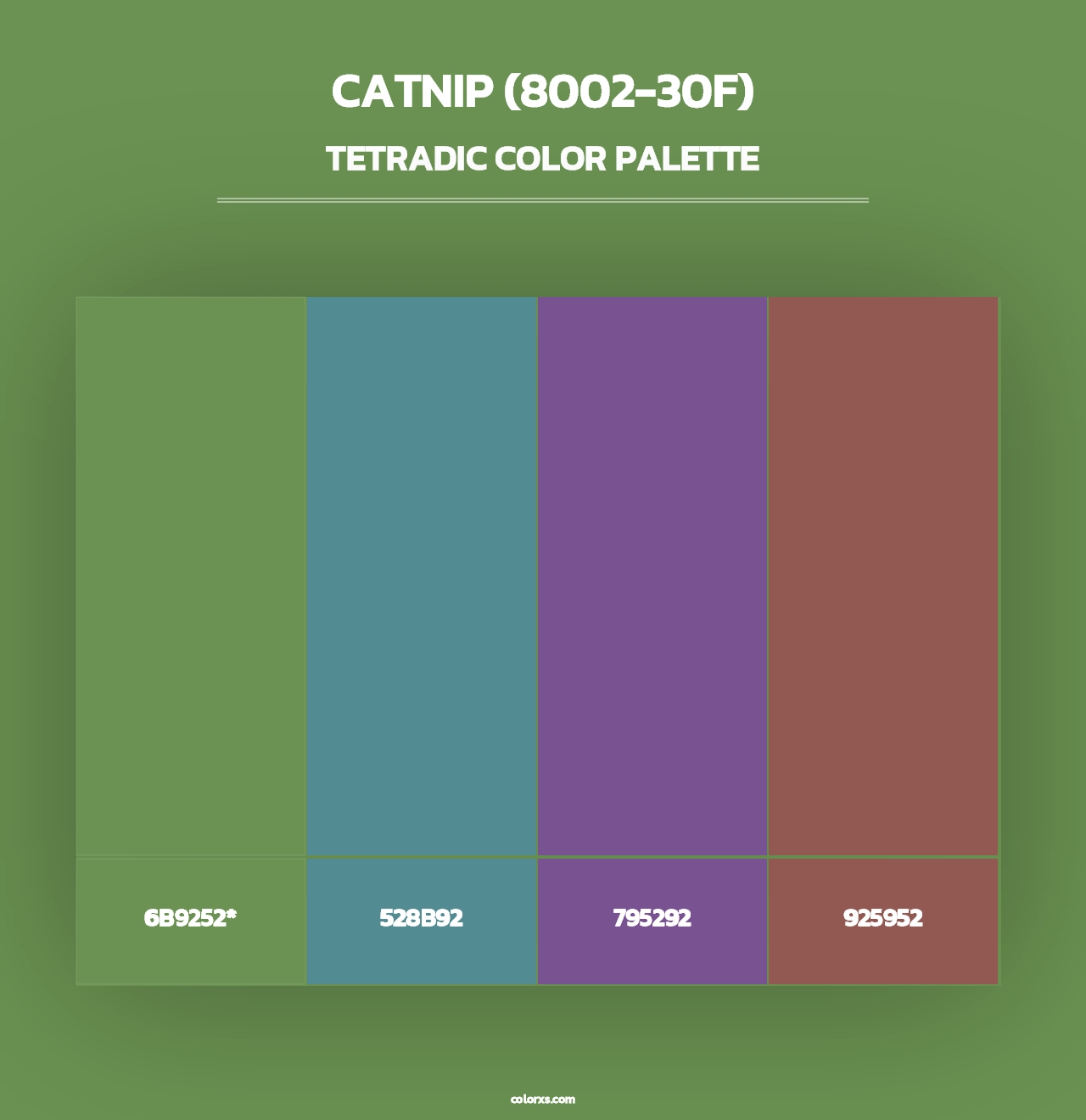 Catnip (8002-30F) - Tetradic Color Palette
