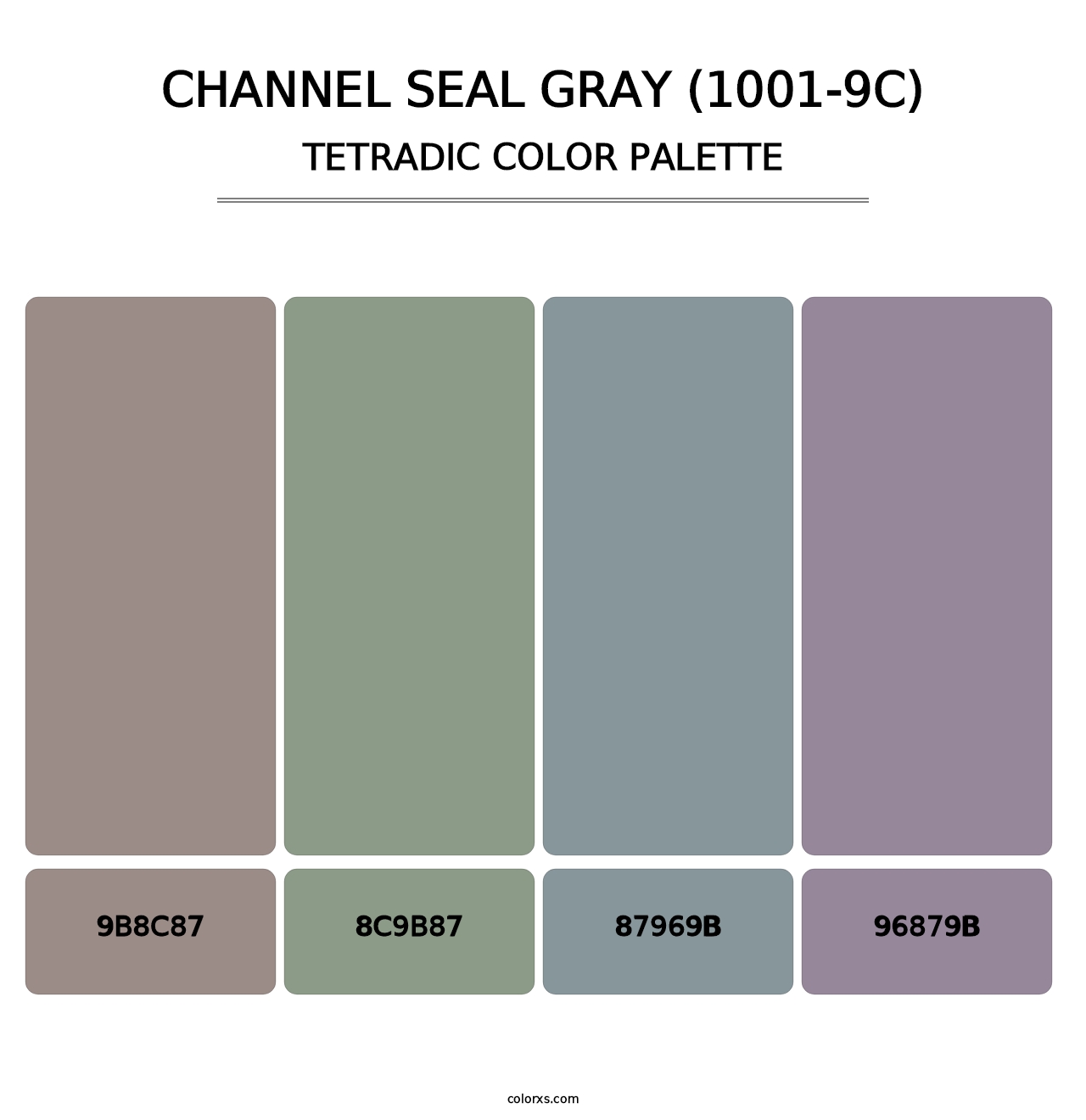 Channel Seal Gray (1001-9C) - Tetradic Color Palette