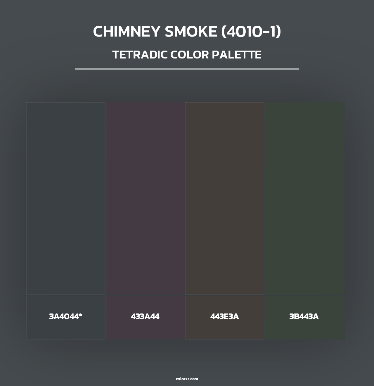 Chimney Smoke (4010-1) - Tetradic Color Palette