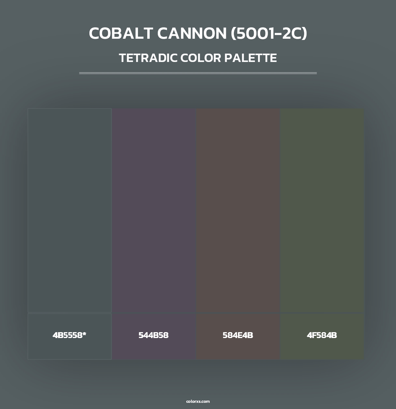 Cobalt Cannon (5001-2C) - Tetradic Color Palette