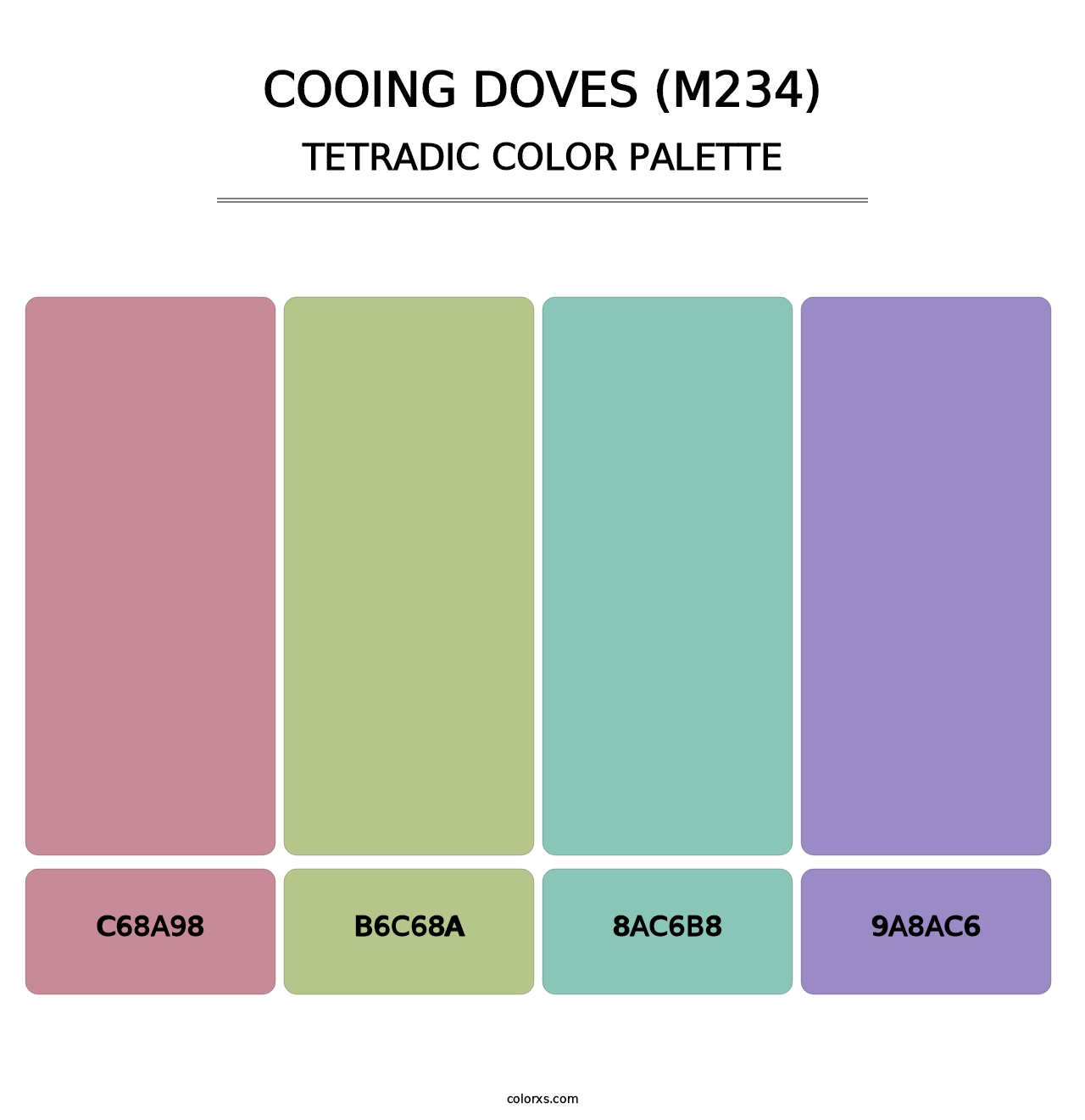 Cooing Doves (M234) - Tetradic Color Palette