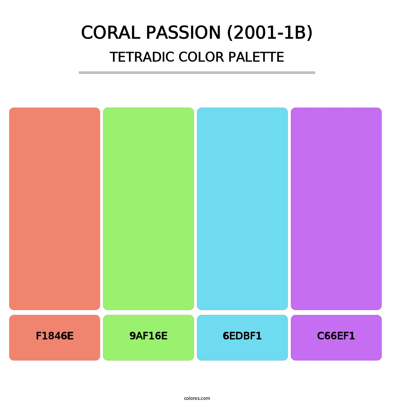 Coral Passion (2001-1B) - Tetradic Color Palette