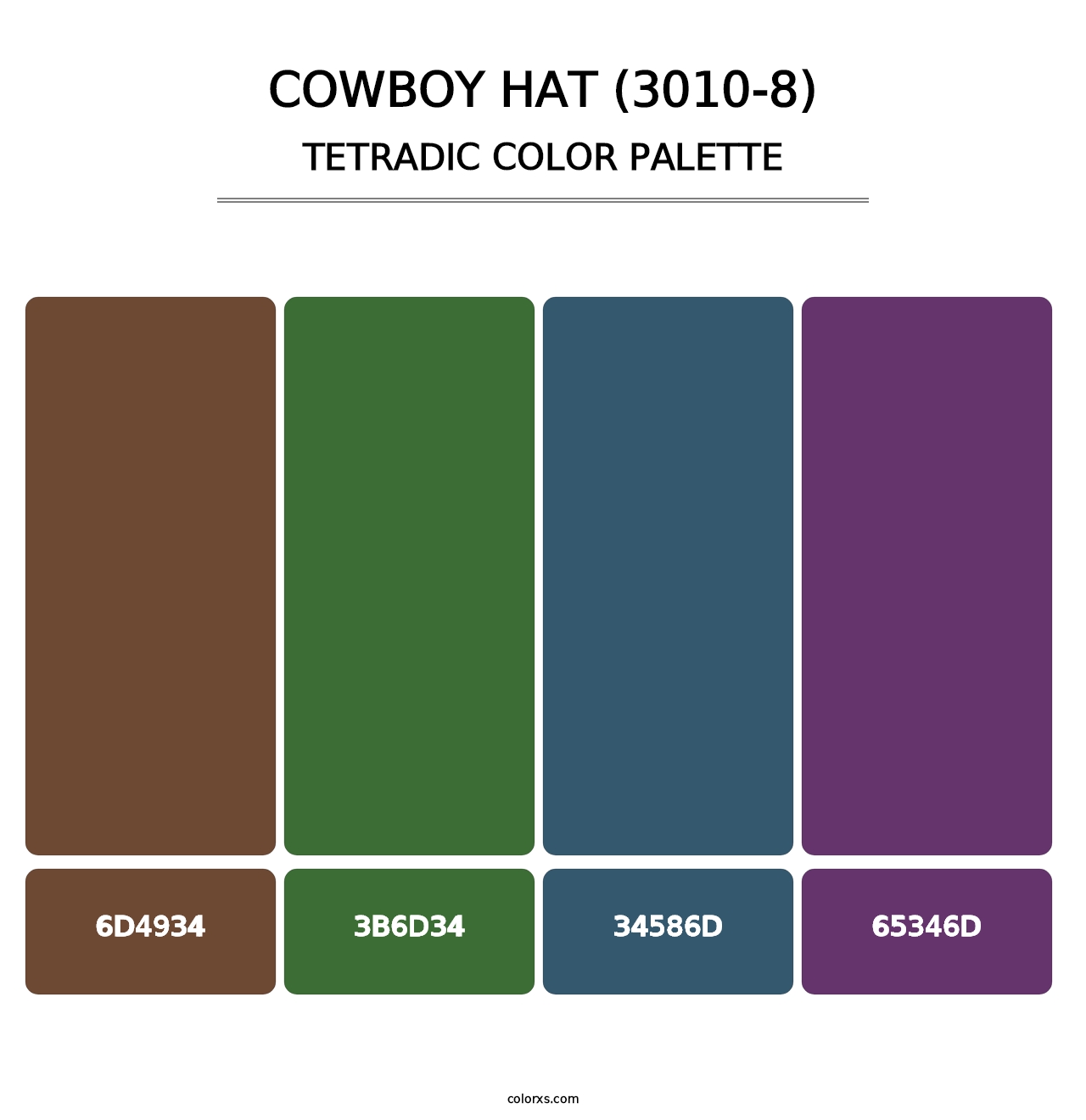 Cowboy Hat (3010-8) - Tetradic Color Palette