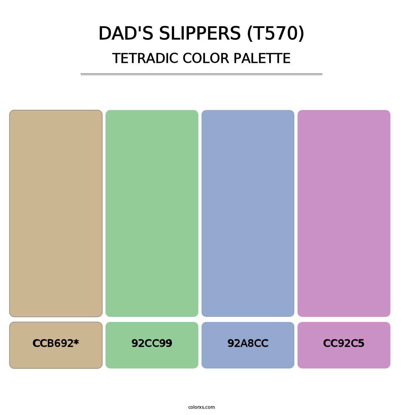 Dad's Slippers (T570) - Tetradic Color Palette