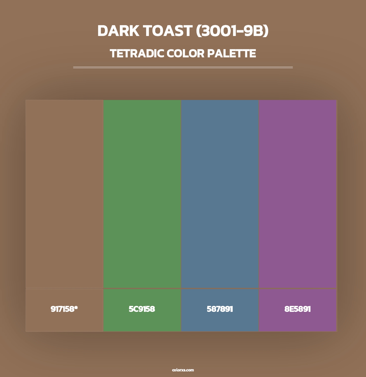 Dark Toast (3001-9B) - Tetradic Color Palette