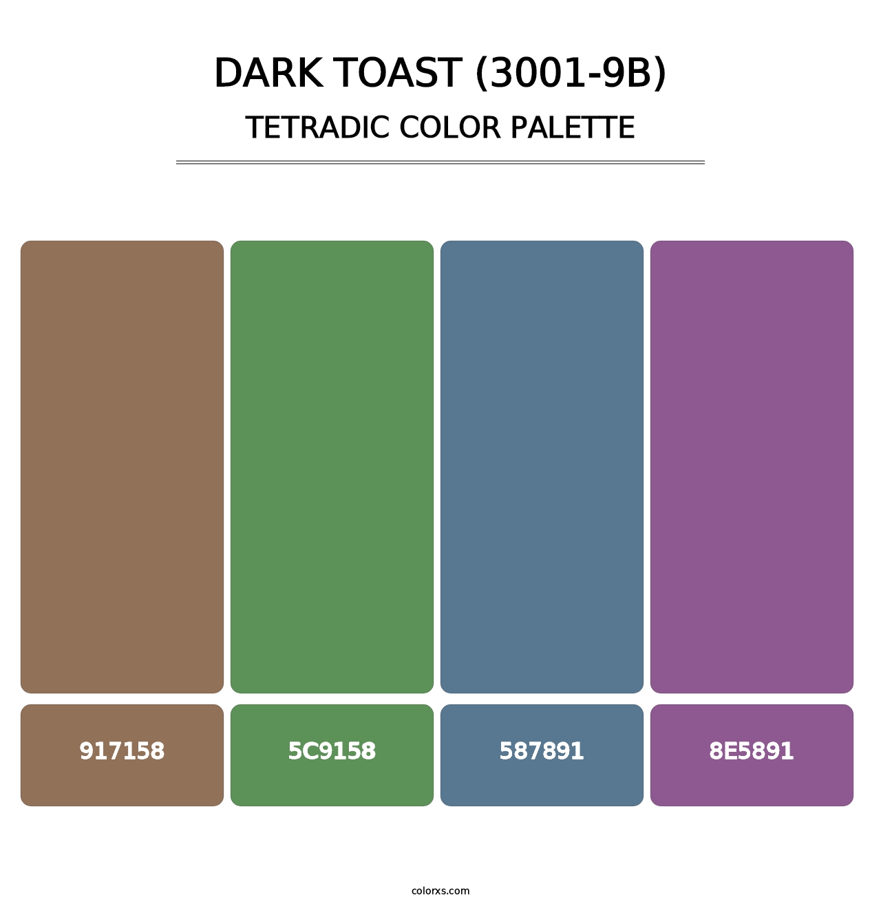 Dark Toast (3001-9B) - Tetradic Color Palette