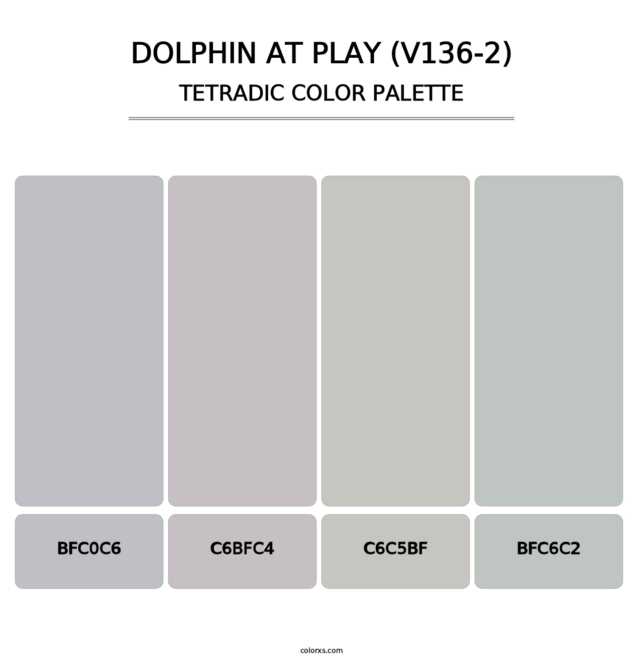 Dolphin at Play (V136-2) - Tetradic Color Palette