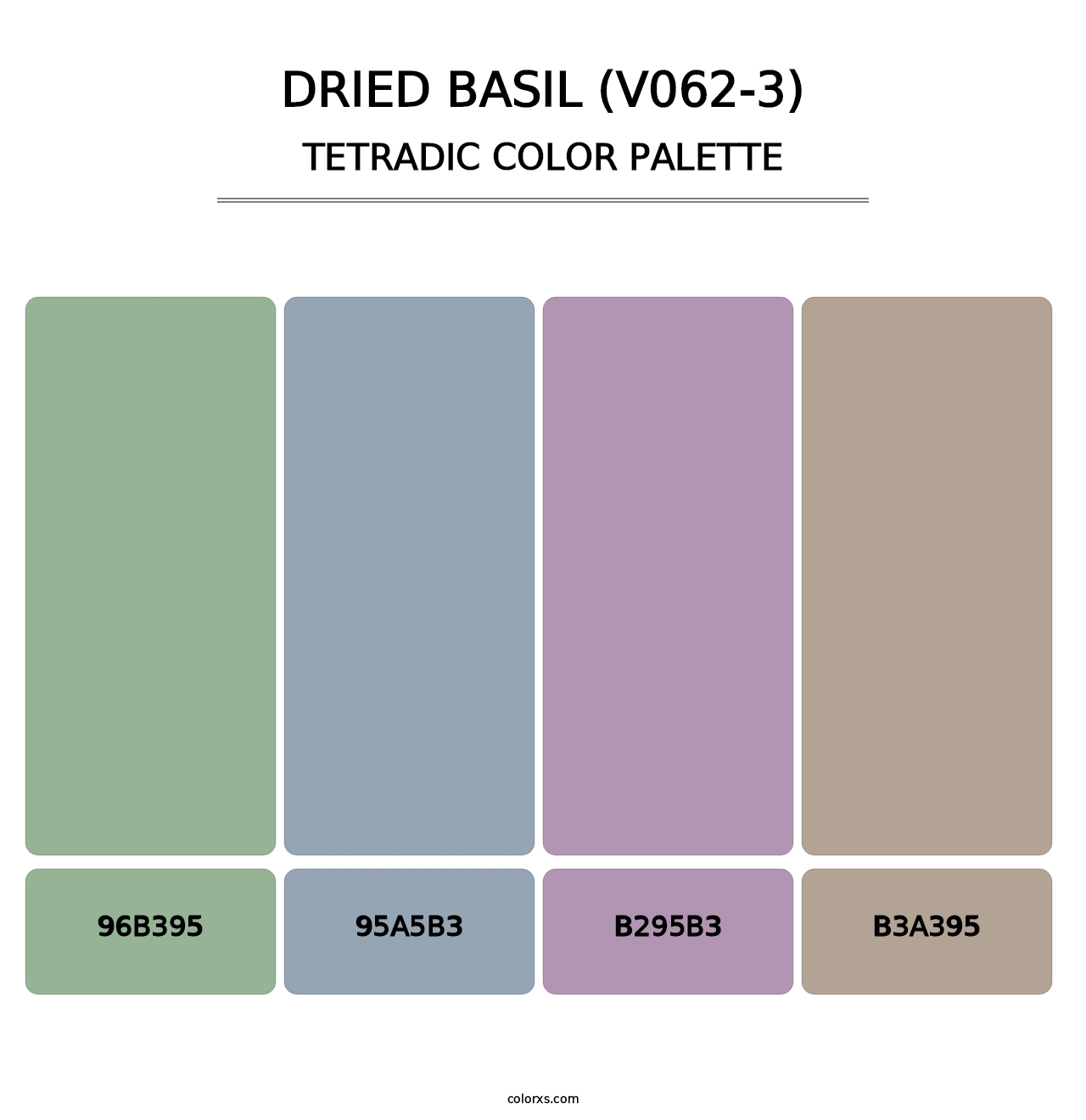 Dried Basil (V062-3) - Tetradic Color Palette
