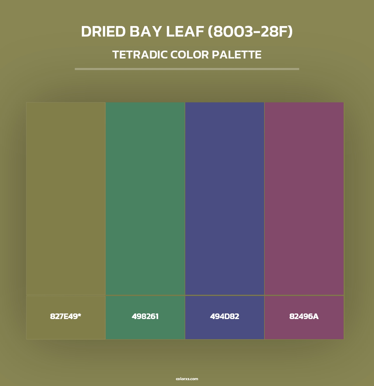 Dried Bay Leaf (8003-28F) - Tetradic Color Palette