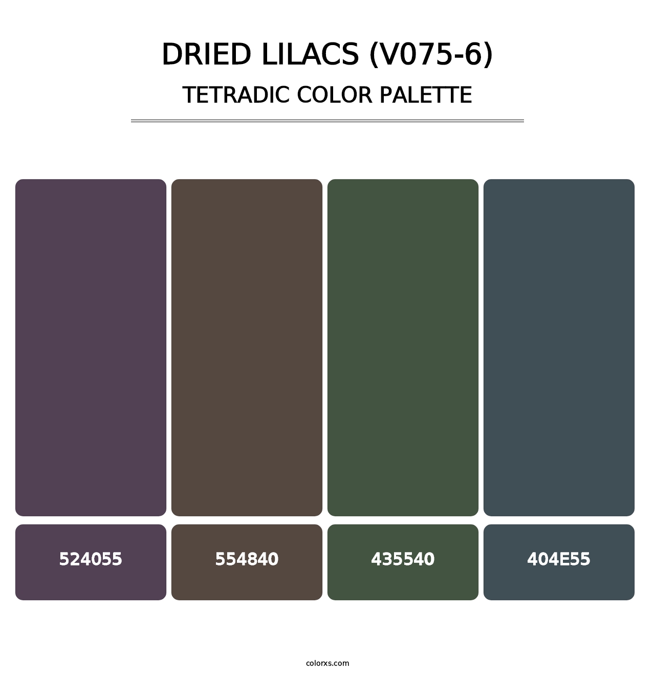 Dried Lilacs (V075-6) - Tetradic Color Palette