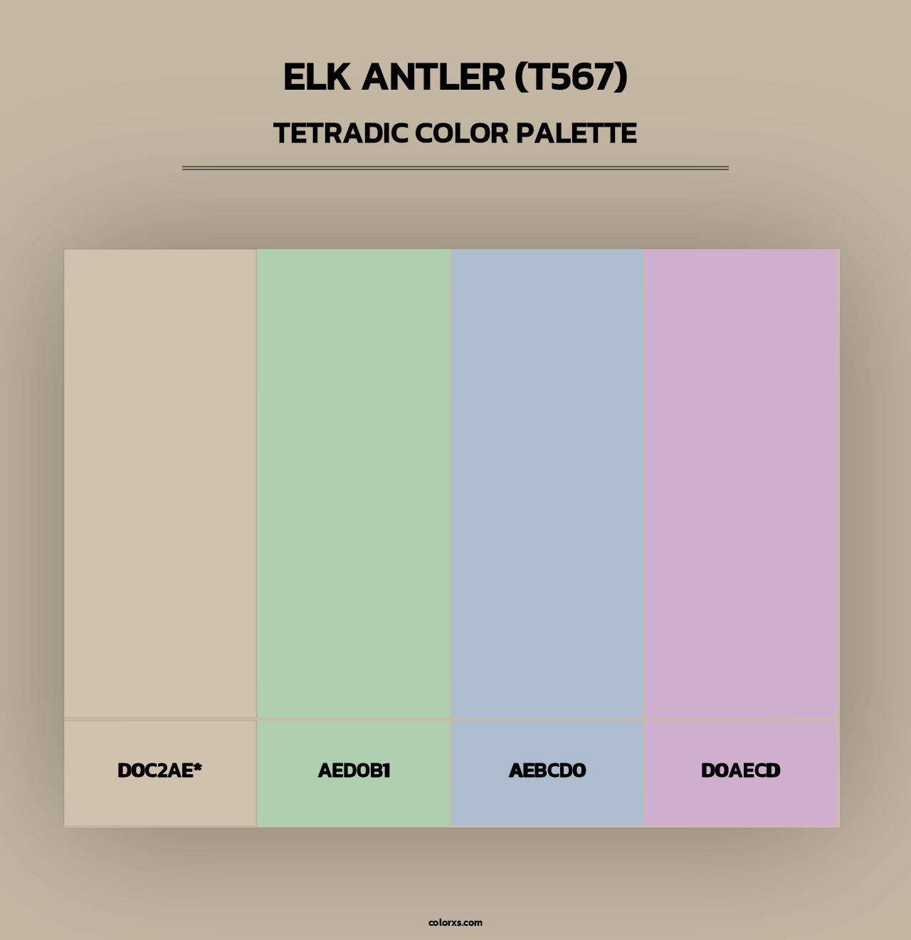 Elk Antler (T567) - Tetradic Color Palette