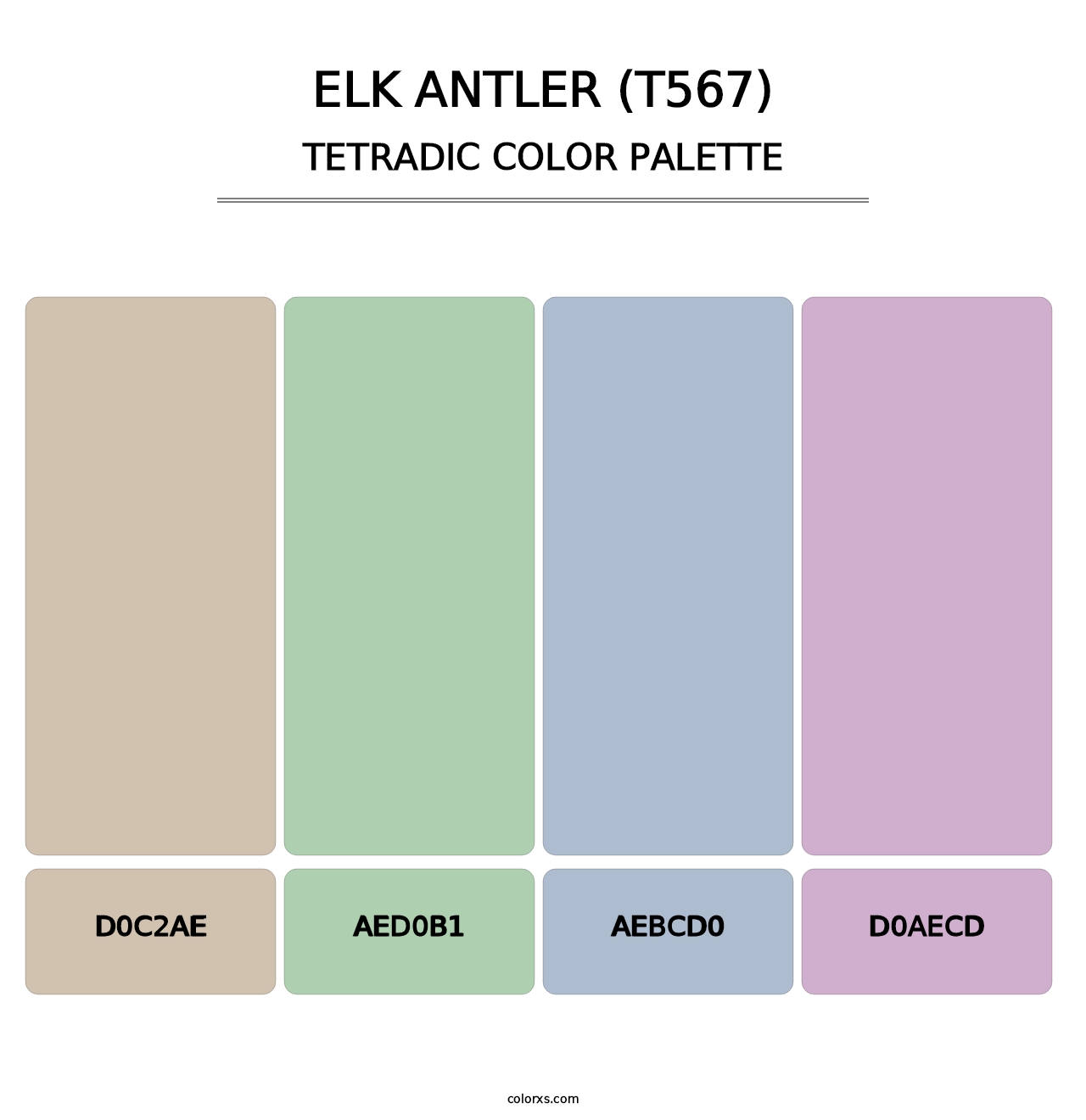 Elk Antler (T567) - Tetradic Color Palette