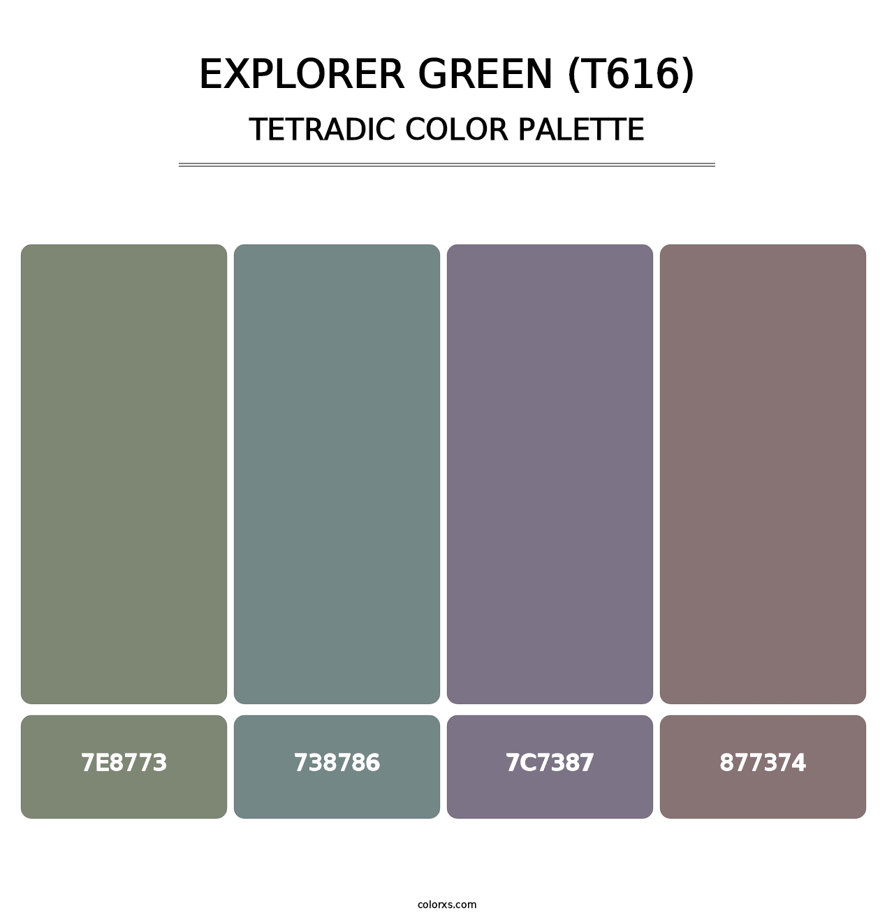 Explorer Green (T616) - Tetradic Color Palette