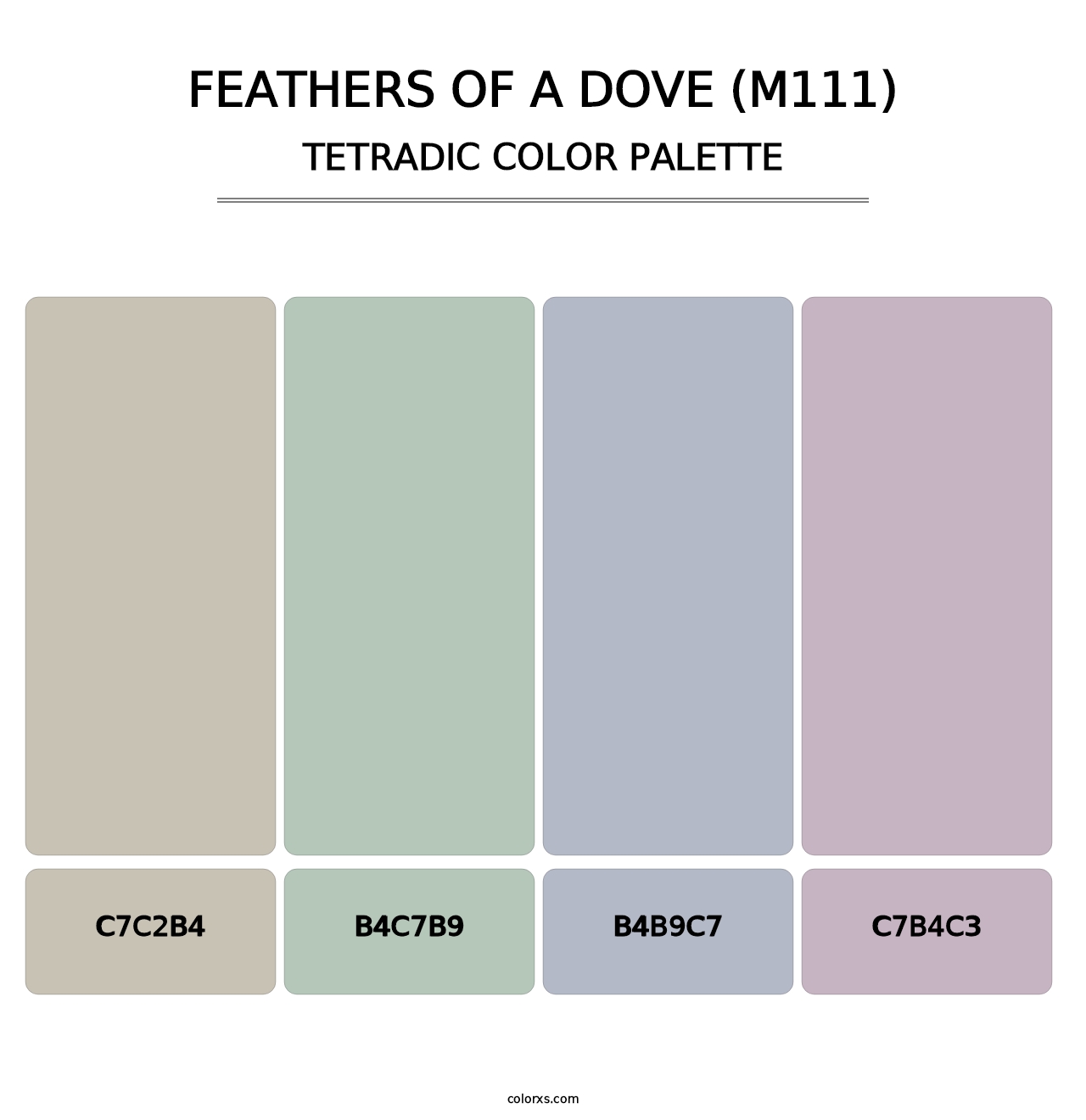Feathers of a Dove (M111) - Tetradic Color Palette