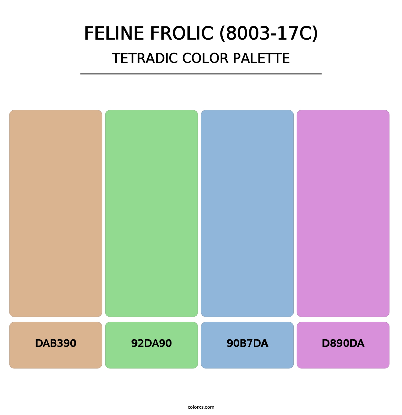 Feline Frolic (8003-17C) - Tetradic Color Palette