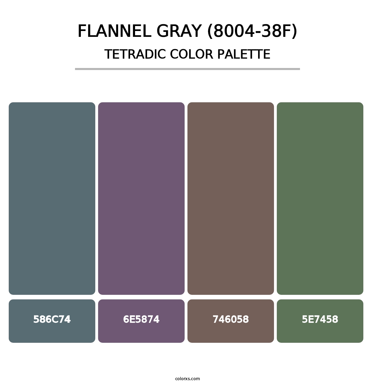 Flannel Gray (8004-38F) - Tetradic Color Palette