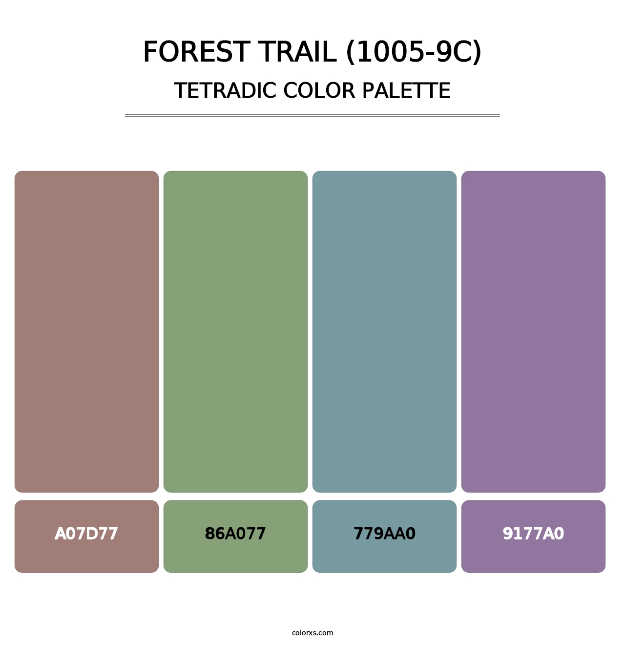 Forest Trail (1005-9C) - Tetradic Color Palette