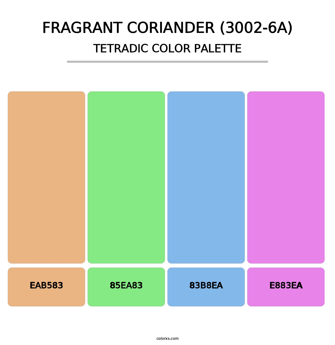 Fragrant Coriander (3002-6A) - Tetradic Color Palette