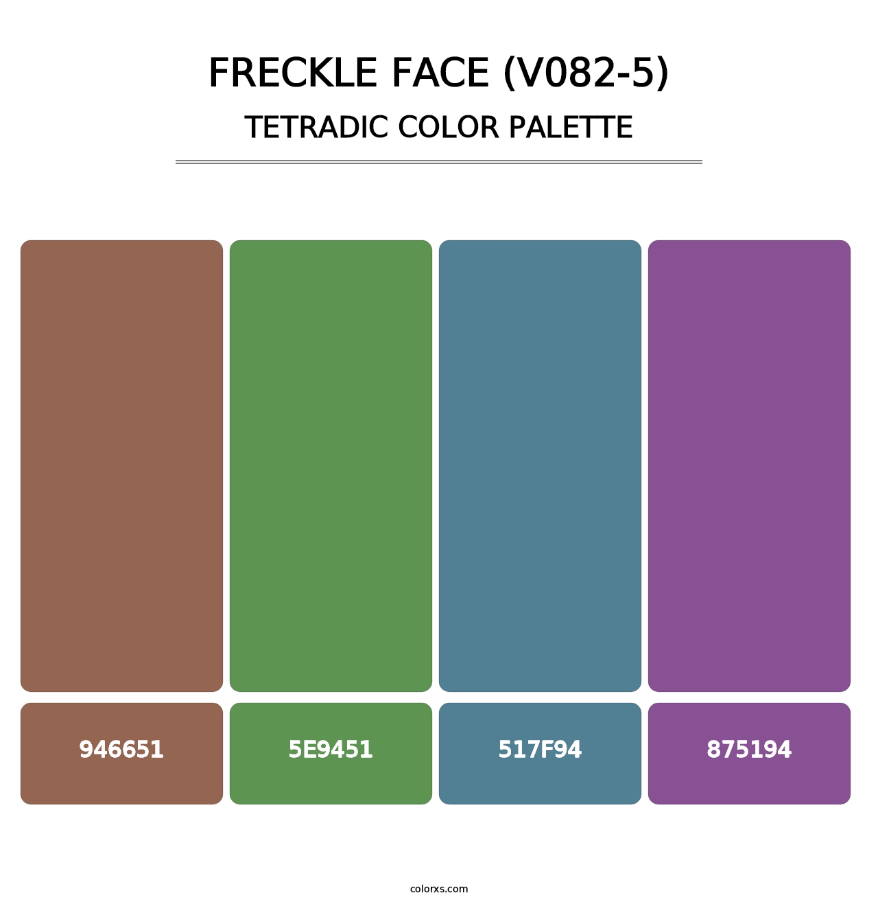 Freckle Face (V082-5) - Tetradic Color Palette