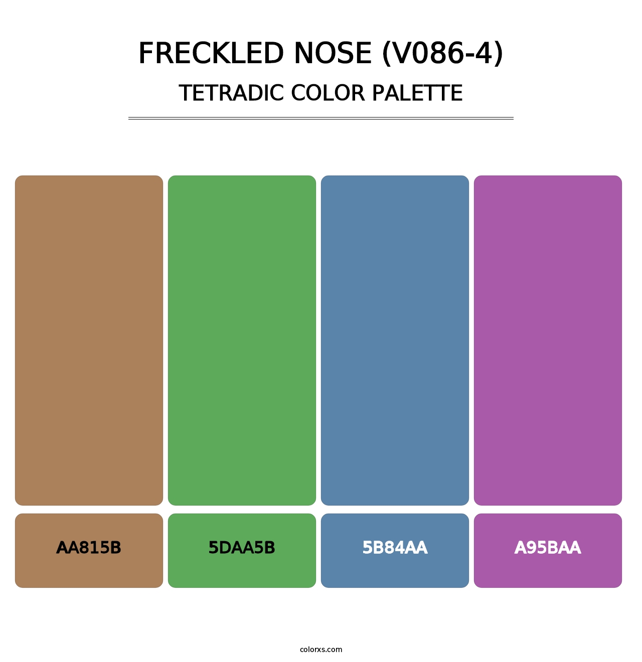 Freckled Nose (V086-4) - Tetradic Color Palette