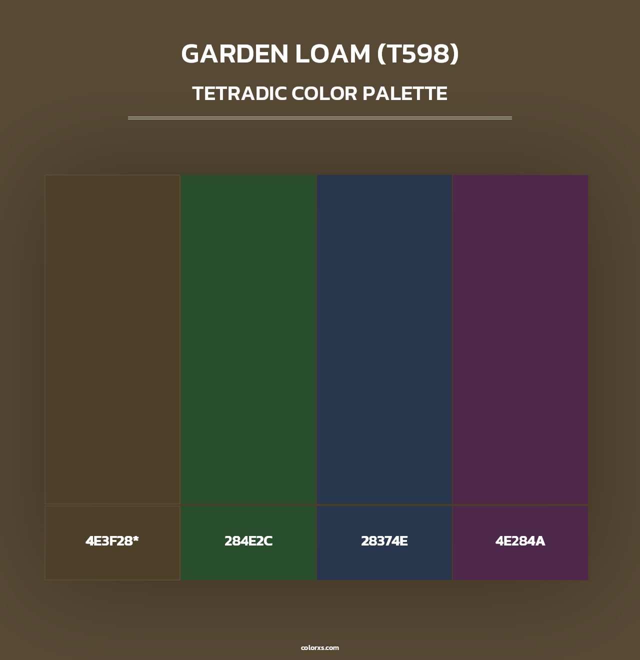 Garden Loam (T598) - Tetradic Color Palette