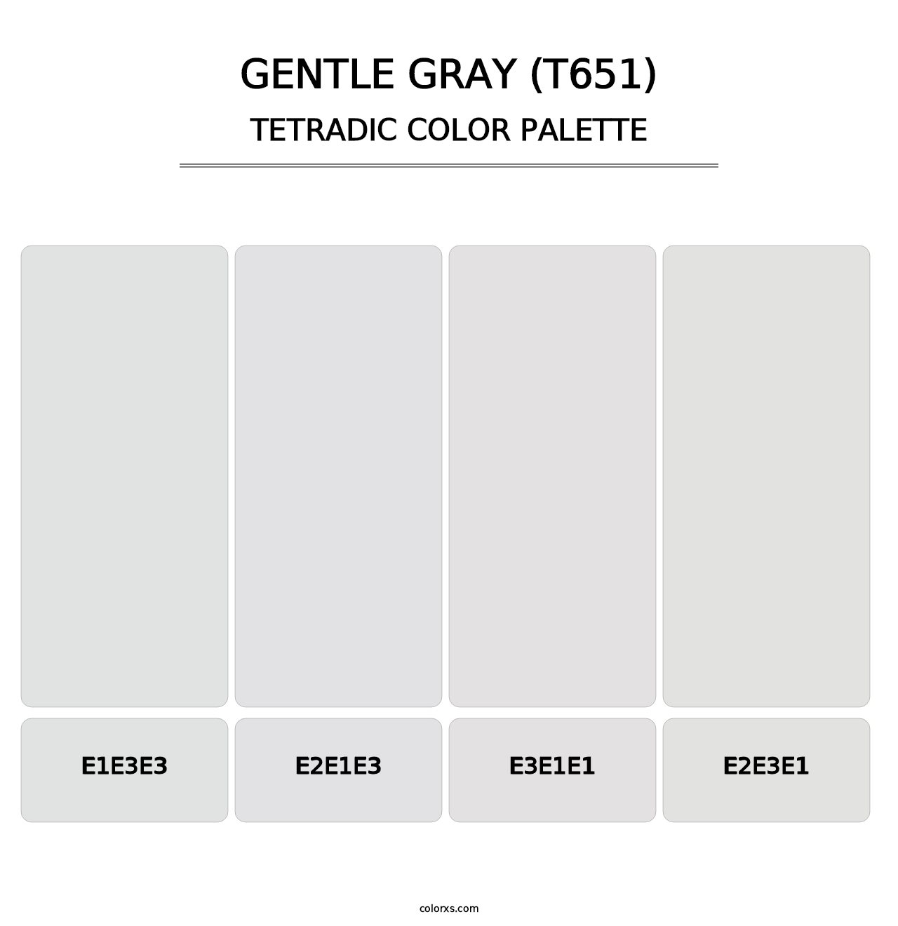 Gentle Gray (T651) - Tetradic Color Palette