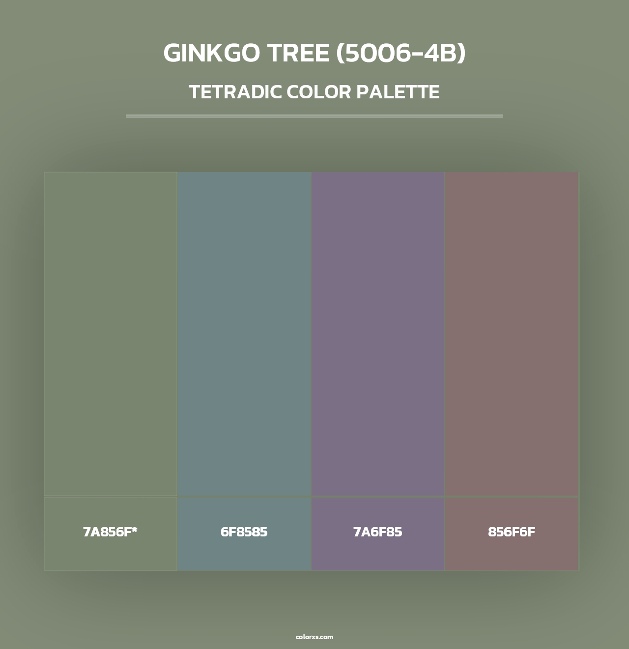 Ginkgo Tree (5006-4B) - Tetradic Color Palette