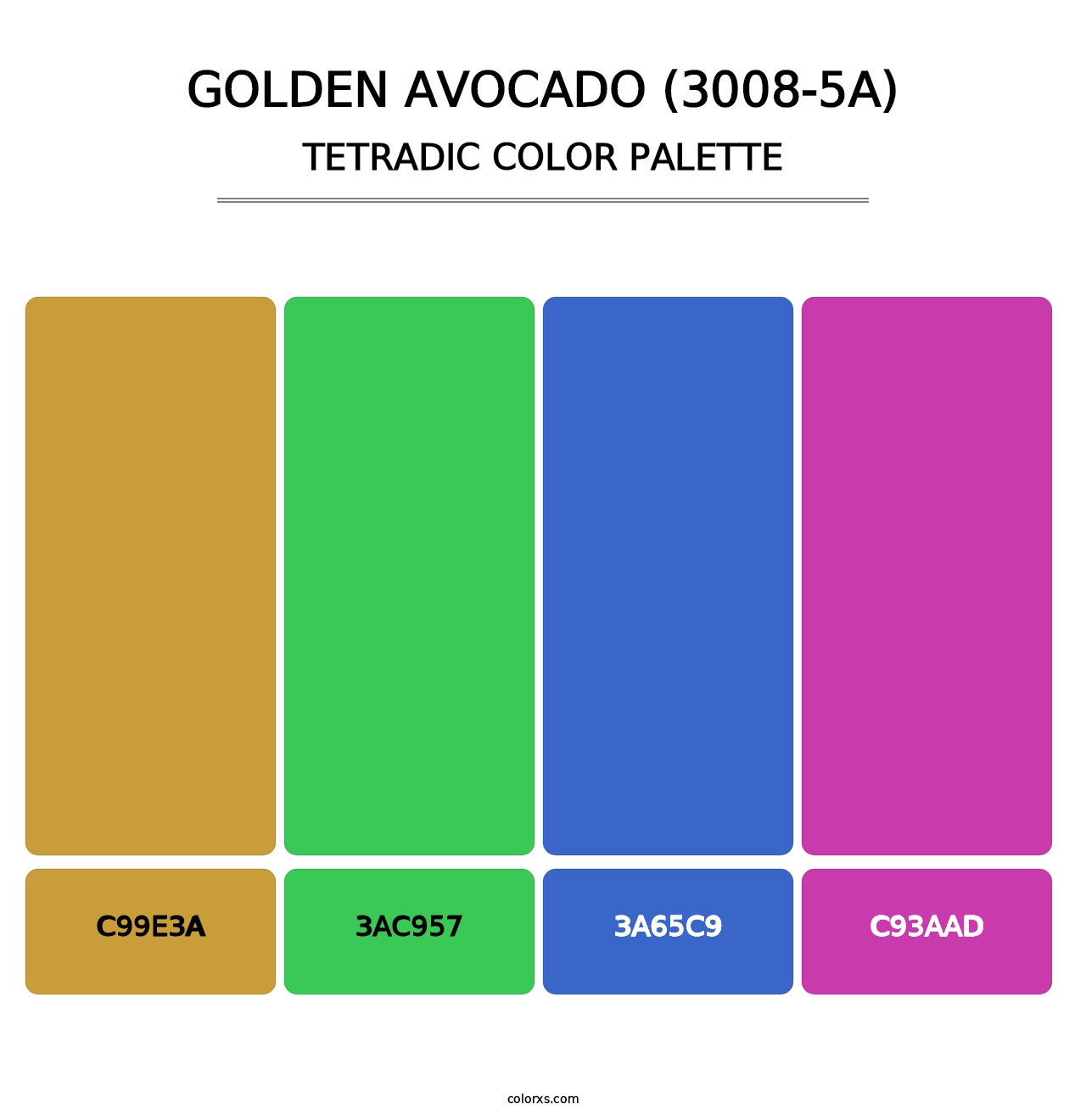 Golden Avocado (3008-5A) - Tetradic Color Palette