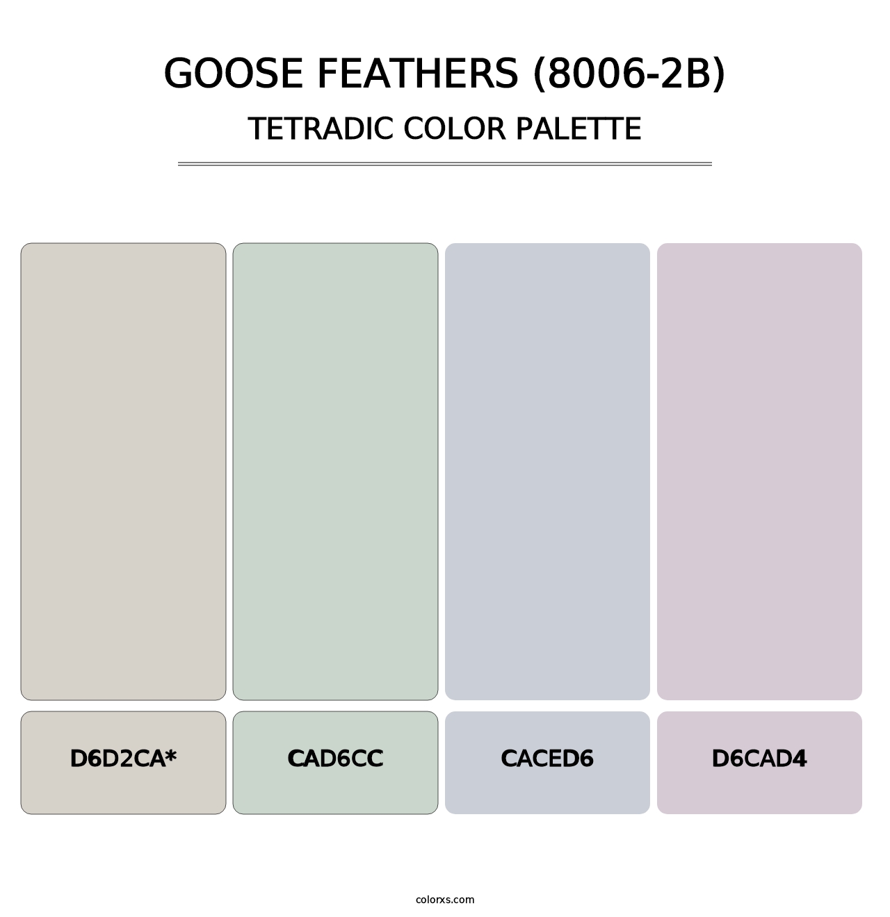 Goose Feathers (8006-2B) - Tetradic Color Palette