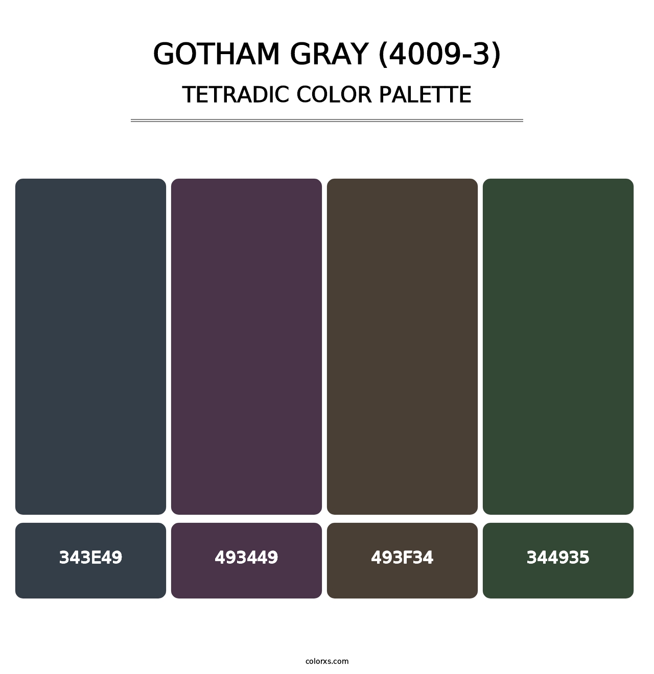 Gotham Gray (4009-3) - Tetradic Color Palette